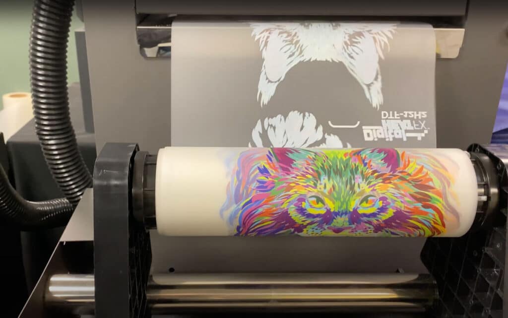 DirecttoFilm Transfers Case Study How Much Money Can You Make with